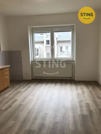 Pronájem bytu 1+1, Olomouc, Březinova, 57 m2