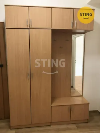 Pronájem bytu 1+1, Olomouc, Březinova, 57 m2