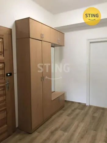 Pronájem bytu 1+1, Olomouc, Březinova, 57 m2