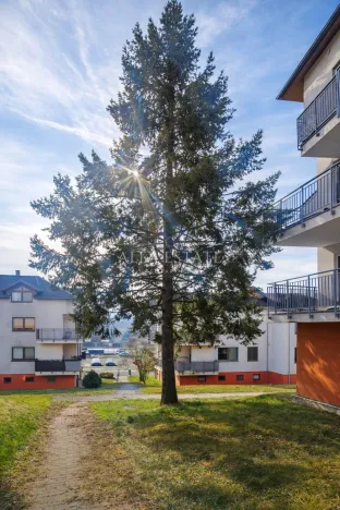 Prodej bytu 4+kk, Chodov, Bezručova, 107 m2