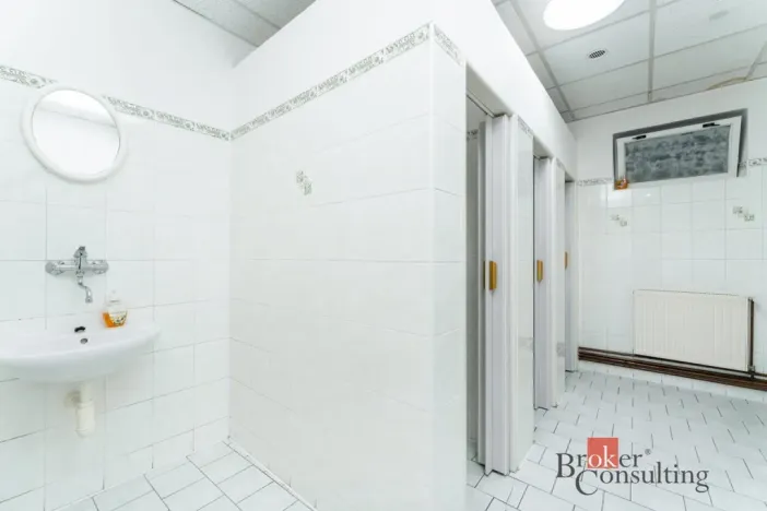 Prodej restaurace, Krásný Dvůr - Vysoké Třebušice, 600 m2