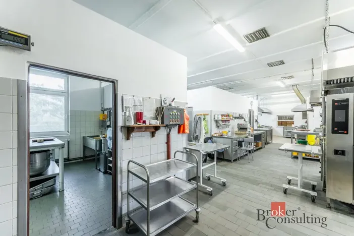 Prodej restaurace, Krásný Dvůr - Vysoké Třebušice, 600 m2