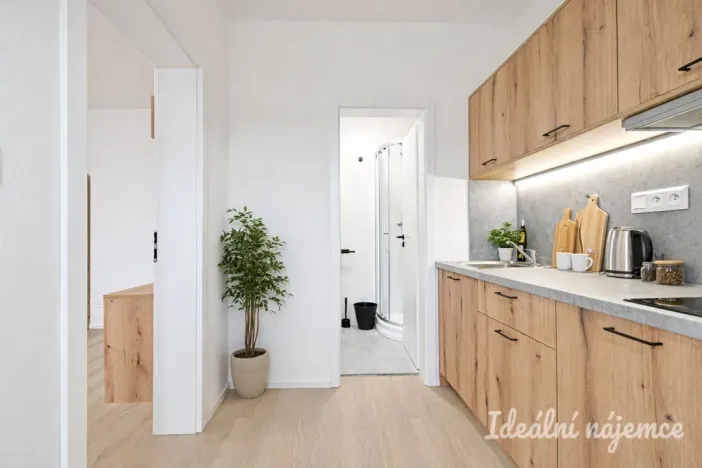 Pronájem bytu 1+1, Brno, Bubeníčkova, 25 m2