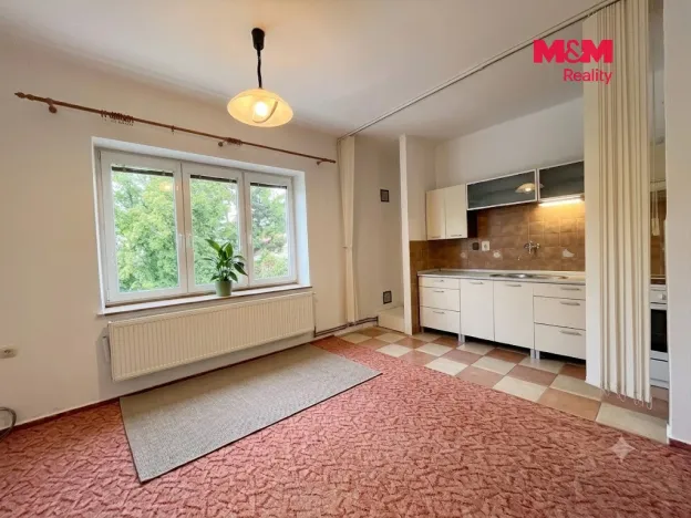 Prodej bytu 1+kk, Krnov - Pod Bezručovým vrchem, Březinova, 40 m2