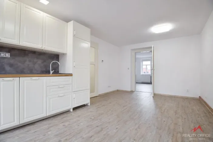 Prodej bytu 2+kk, Děčín - Děčín IV-Podmokly, Raisova, 52 m2