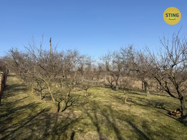 Prodej sadu/vinice, Miroslavské Knínice, 4555 m2