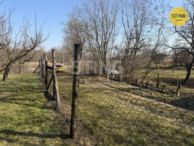 Prodej sadu/vinice, Miroslavské Knínice, 4555 m2