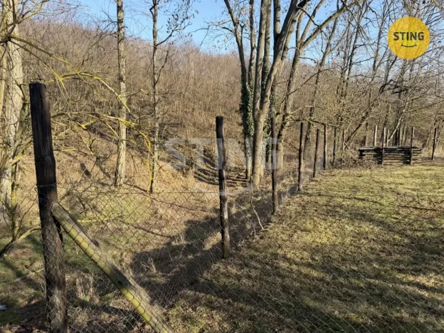 Prodej sadu/vinice, Miroslavské Knínice, 4555 m2