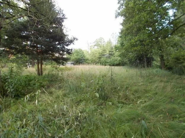 Prodej louky, Velký Šenov - Leopoldka, 3266 m2