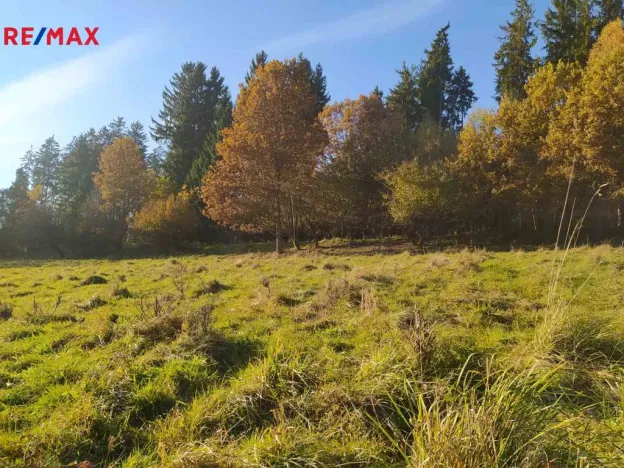 Prodej louky, Kynšperk nad Ohří, 20332 m2