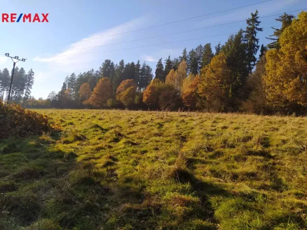 Prodej louky, Kynšperk nad Ohří, 20332 m2