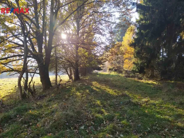 Prodej louky, Kynšperk nad Ohří, 20332 m2