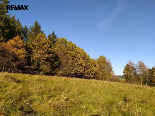 Prodej louky, Kynšperk nad Ohří, 20332 m2