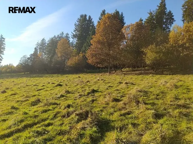 Prodej louky, Kynšperk nad Ohří, 20332 m2