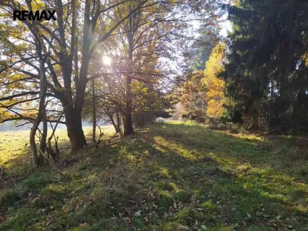Prodej louky, Kynšperk nad Ohří, 20332 m2