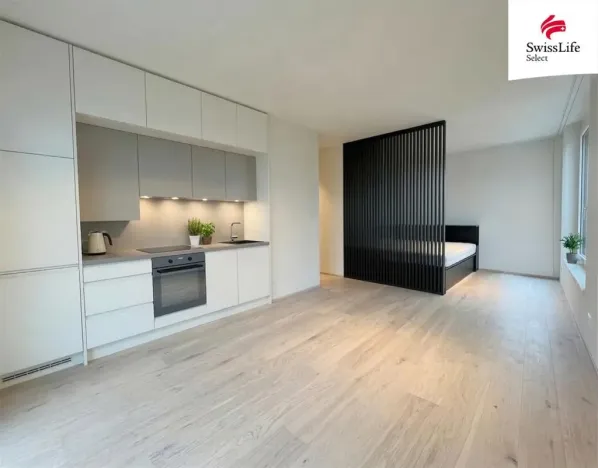 Pronájem bytu 1+kk, Plzeň, 38 m2