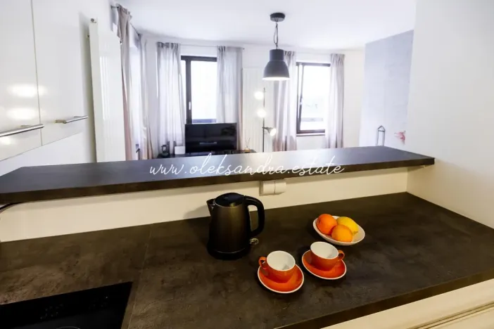 Pronájem bytu 2+kk, Praha - Karlín, Šaldova, 51 m2