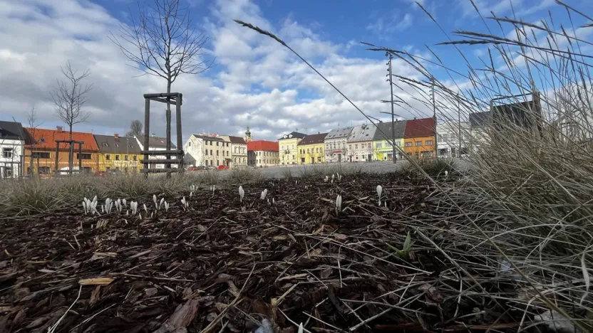 Prodej bytu 3+1, Nové Město pod Smrkem, Vaňkova, 69 m2