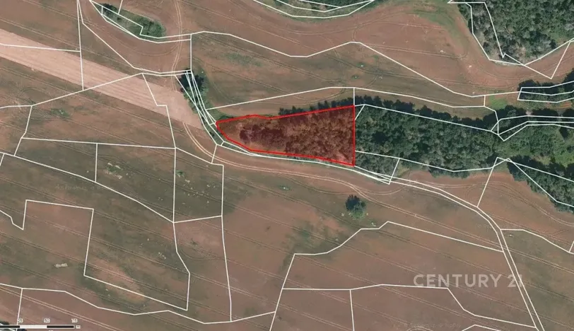 Prodej pole, Střelské Hoštice, 32521 m2