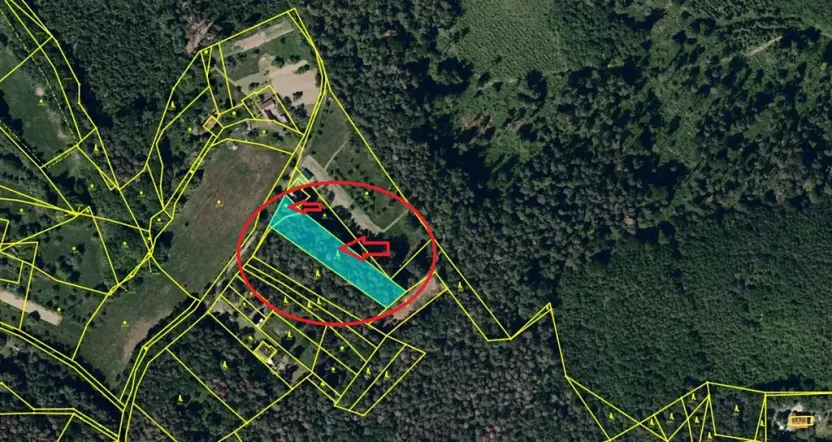 Prodej lesa, Stříbrnice, 2595 m2