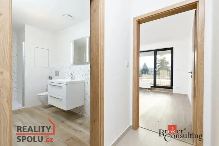 Prodej bytu 2+kk, Plzeň - Jižní Předměstí, Železná, 55 m2