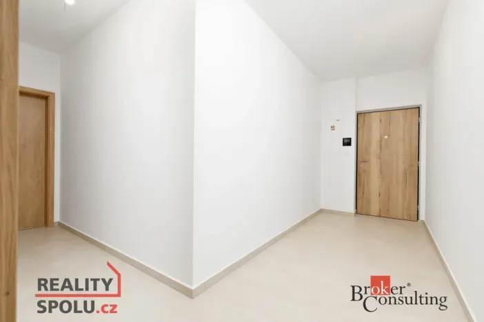 Prodej bytu 2+kk, Plzeň - Jižní Předměstí, Železná, 55 m2