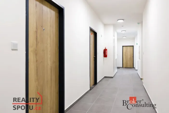 Prodej bytu 2+kk, Plzeň - Jižní Předměstí, Železná, 55 m2