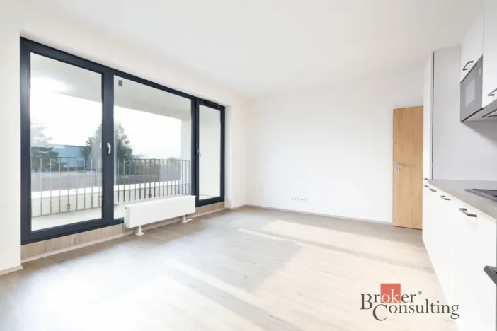 Prodej bytu 2+kk, Plzeň - Jižní Předměstí, Železná, 55 m2