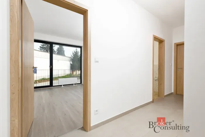 Prodej bytu 2+kk, Plzeň - Jižní Předměstí, Železná, 55 m2