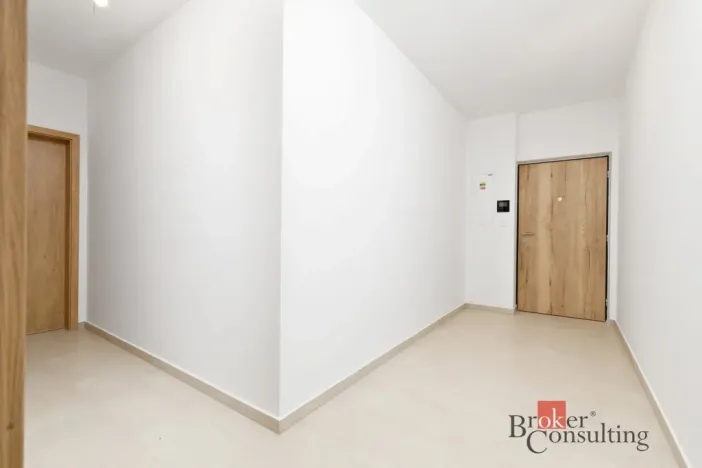 Prodej bytu 2+kk, Plzeň - Jižní Předměstí, Železná, 55 m2