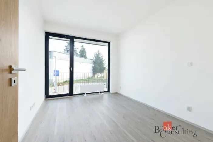 Prodej bytu 2+kk, Plzeň - Jižní Předměstí, Železná, 55 m2