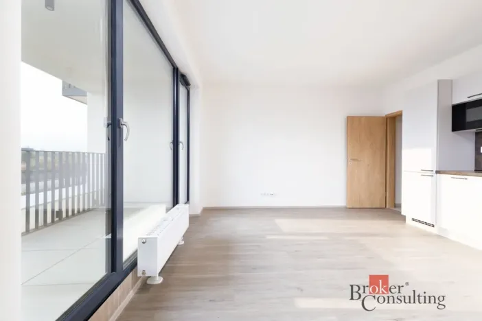 Prodej bytu 2+kk, Plzeň - Jižní Předměstí, Železná, 55 m2