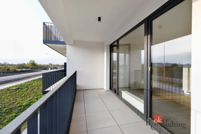 Prodej bytu 2+kk, Plzeň - Jižní Předměstí, Železná, 55 m2