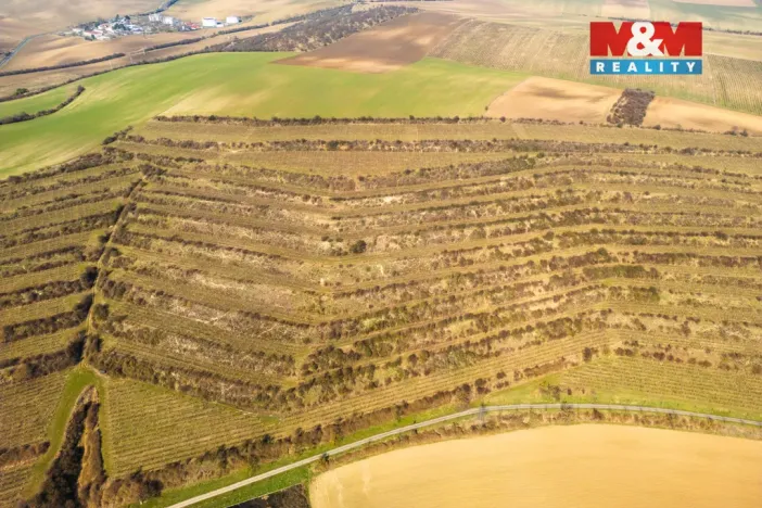 Prodej pole, Morkůvky, 2424 m2