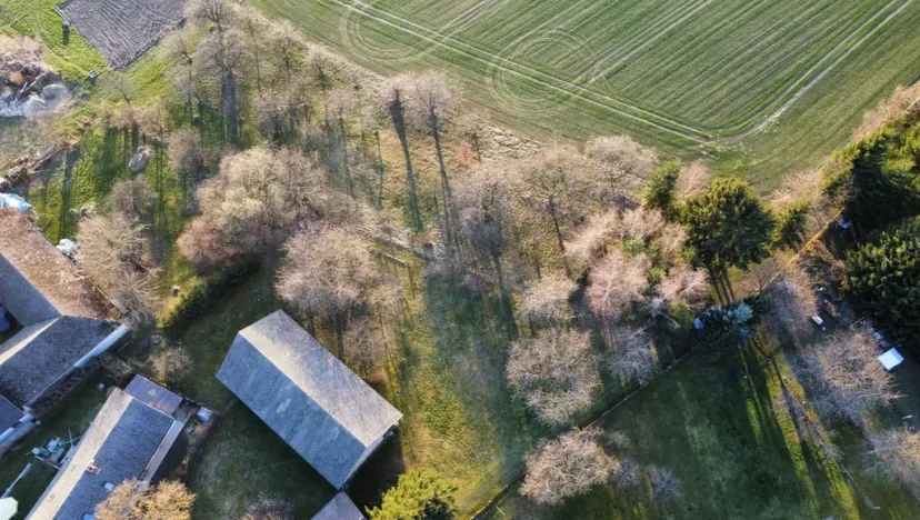 Prodej pozemku, Chocnějovice - Buda, 2533 m2