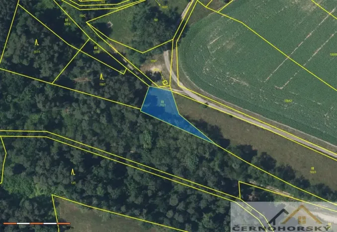 Prodej pole, Bakov nad Jizerou - Chudoplesy, 719 m2