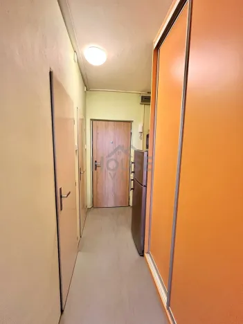Pronájem bytu 1+kk, Praha - Záběhlice, Jabloňová, 25 m2