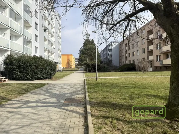 Pronájem bytu 1+1, Šternberk, Nádražní, 30 m2