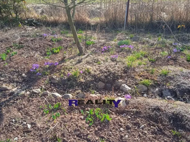 Pronájem zahrady, Kryry, 367 m2