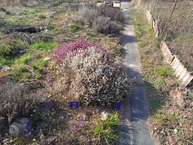 Pronájem zahrady, Kryry, 367 m2