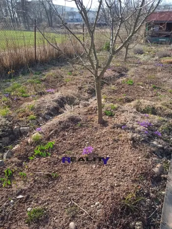 Pronájem zahrady, Kryry, 367 m2