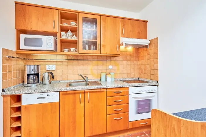 Prodej bytu 1+kk, Horní Planá, Jenišov, 43 m2