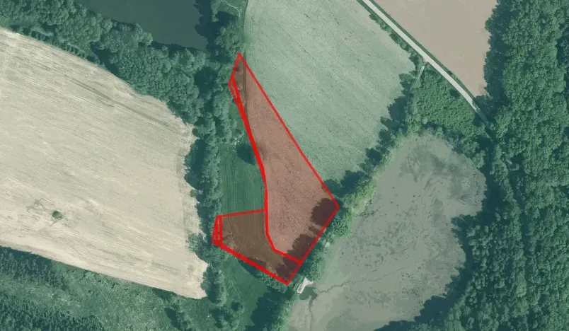 Prodej pole, Čejetice, 76509 m2