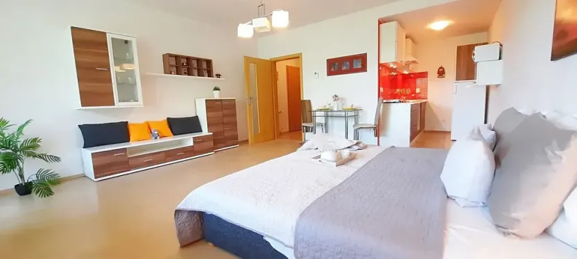 Pronájem bytu 1+kk, Brno, Šemberova, 51 m2