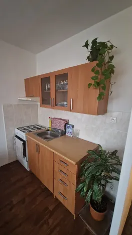 Pronájem bytu 1+1, Krupka, Teplická, 36 m2