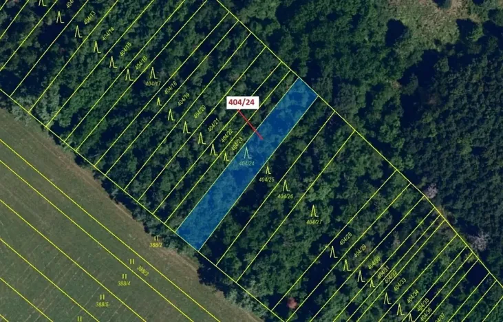 Dražba lesa, Ivančice, 741 m2