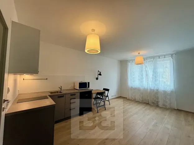 Pronájem bytu 1+kk, Praha - Strašnice, Krátká, 25 m2