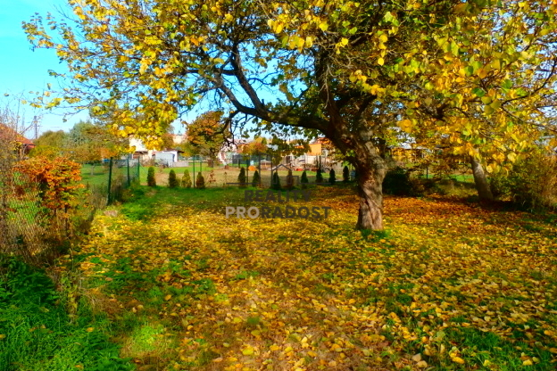 Prodej zahrady, Znojmo, 1330 m2