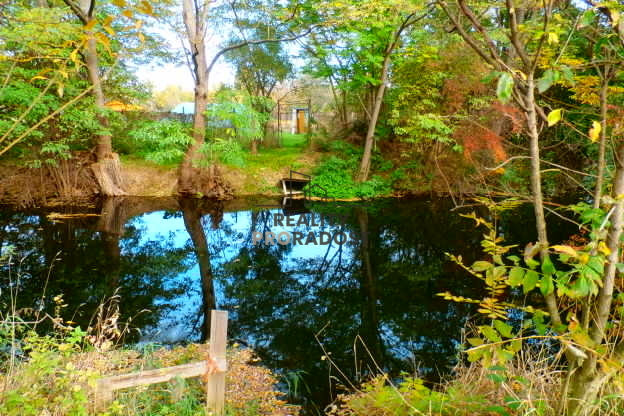 Prodej zahrady, Znojmo, 1330 m2