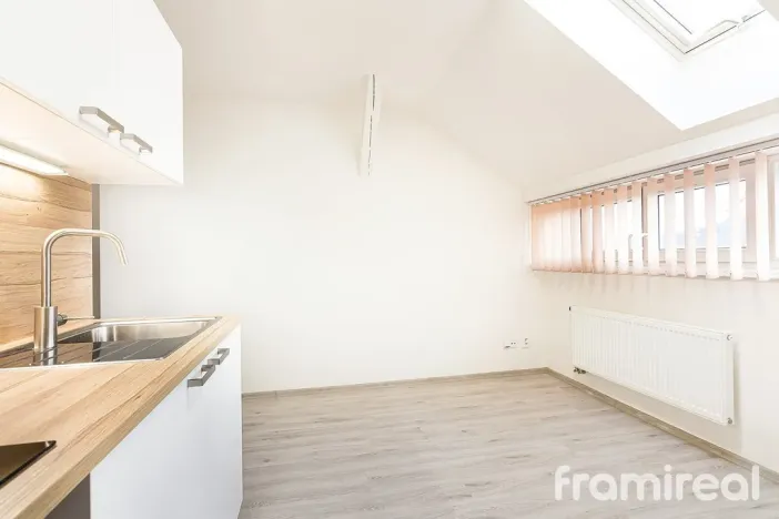 Pronájem bytu 1+kk, Brno - Pisárky, Hlinky, 19 m2